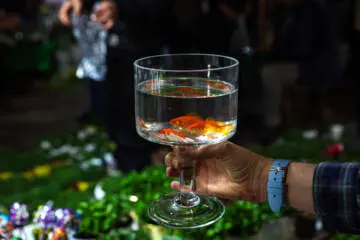 حال‌وهوای شب عید در بازار تجریش