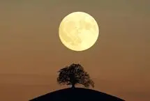 تفال به حافظ دوشنبه 9تیر 1404؛ به چشم کرده‌ام ابروی ماه سیمایی....
