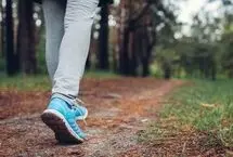 کدام شهر جهان برای زندگی بدون خودرو بهتر است؟