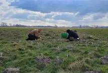 کشف «دروازه ۸۰۰ ساله» به کمک «موش‌های کور»