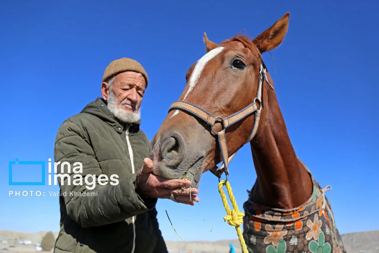 تصاویر؛ کورس اسبدوانی روستای «باغلق»
