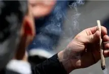 پشت پرده گسترش مصرف «گل» میان جوانان؛ از تبلیغات تا دسترسی آسان