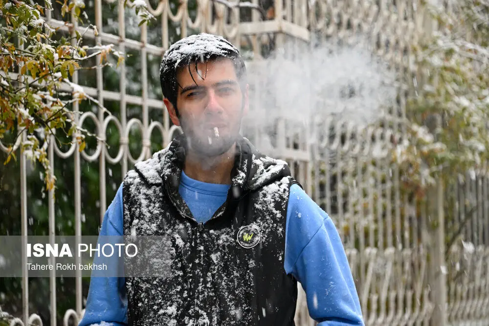 تصاویر؛ بارش برف در شیراز پس از ۱۲ سال