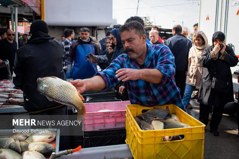 نوروز ۱۴۰۵ ۲۴