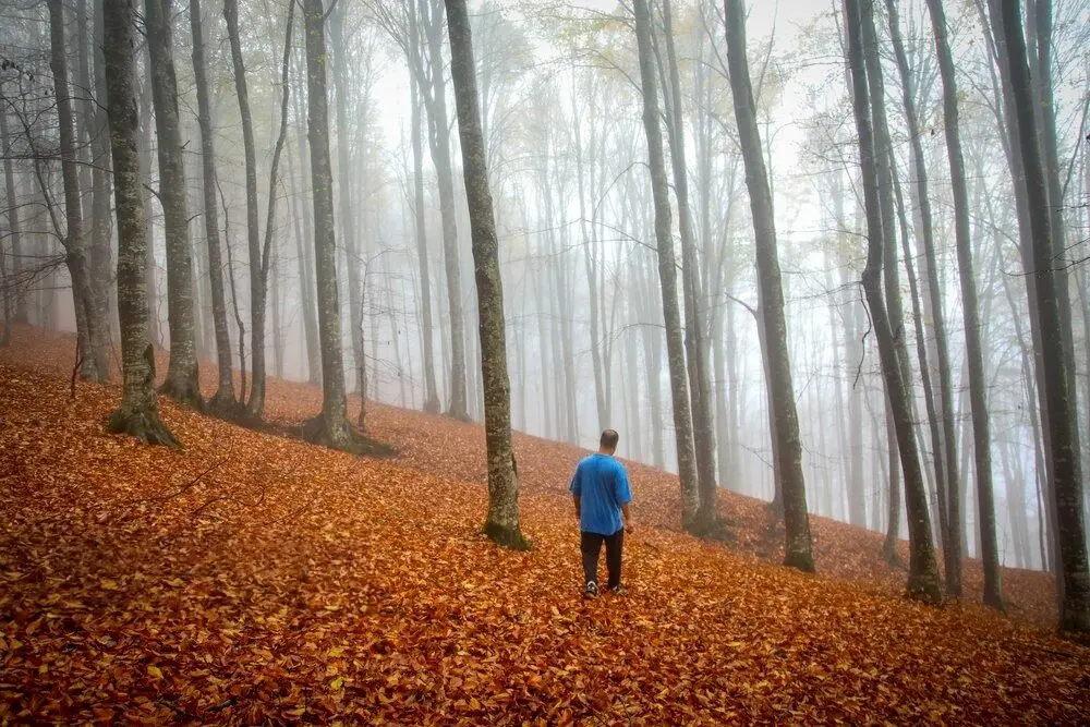  تصاویر؛ سوادکوه؛ مقصدی برای تماشای زودترین پاییز شمال