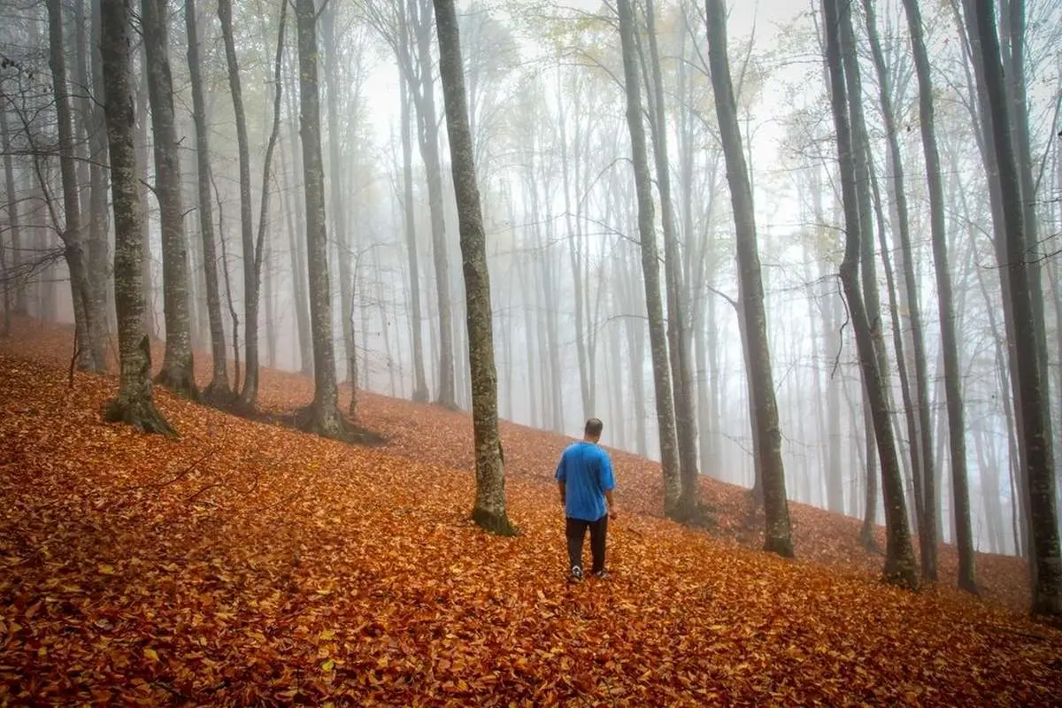 تصاویر؛ سوادکوه؛ مقصدی برای تماشای زودترین...