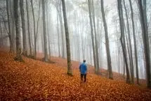  تصاویر؛ سوادکوه؛ مقصدی برای تماشای زودترین پاییز شمال