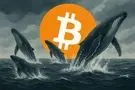 تحرکات مشکوک نهنگ‎‌های بیت کوین؛ منتظر سقوط بازار باشیم؟