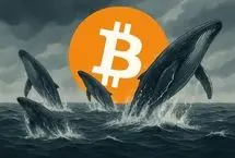 تحرکات مشکوک نهنگ‎‌های بیت کوین؛ منتظر سقوط بازار باشیم؟