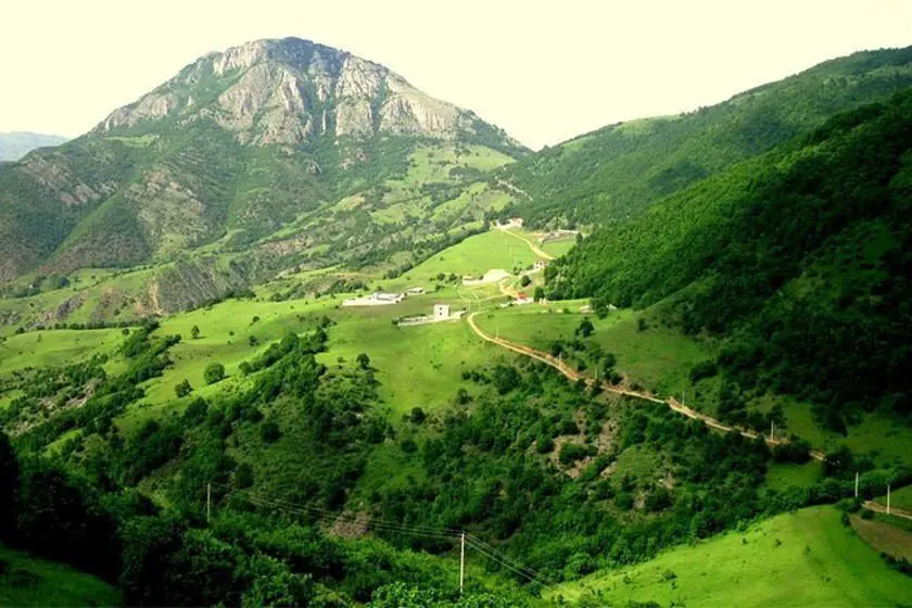 جنگل دیزمار ورزقان؛ زمردی درخشان در دل کوه‌های آذربایجان