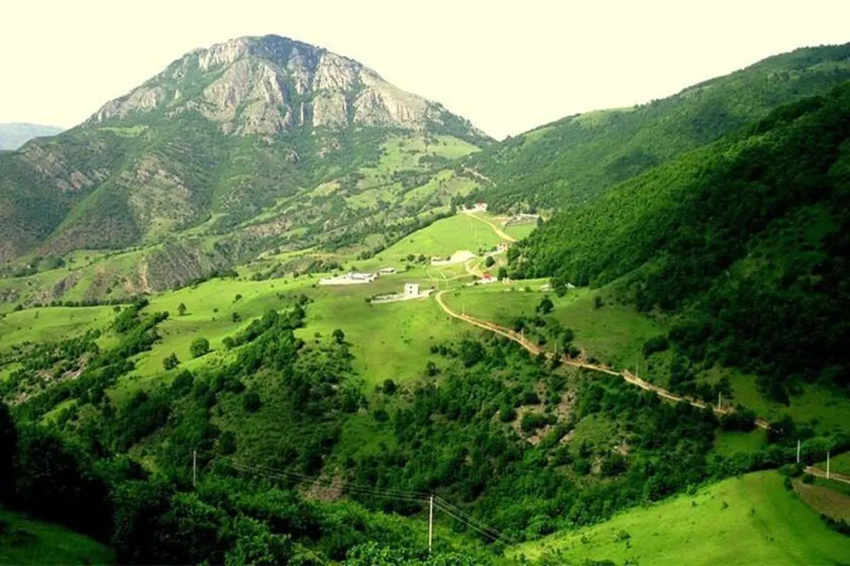جنگل دیزمار ورزقان؛ زمردی درخشان در دل کوههای آذربایجان