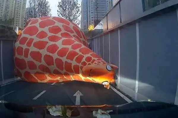 باد شدید زرافه بادی غول‌پیکر را واژگون کرد