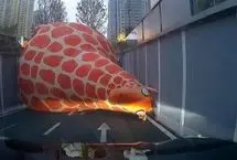 باد شدید زرافه بادی غول‌پیکر را واژگون کرد