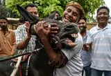 مسابقه پرهیجان گاری‌های الاغ در کراچی