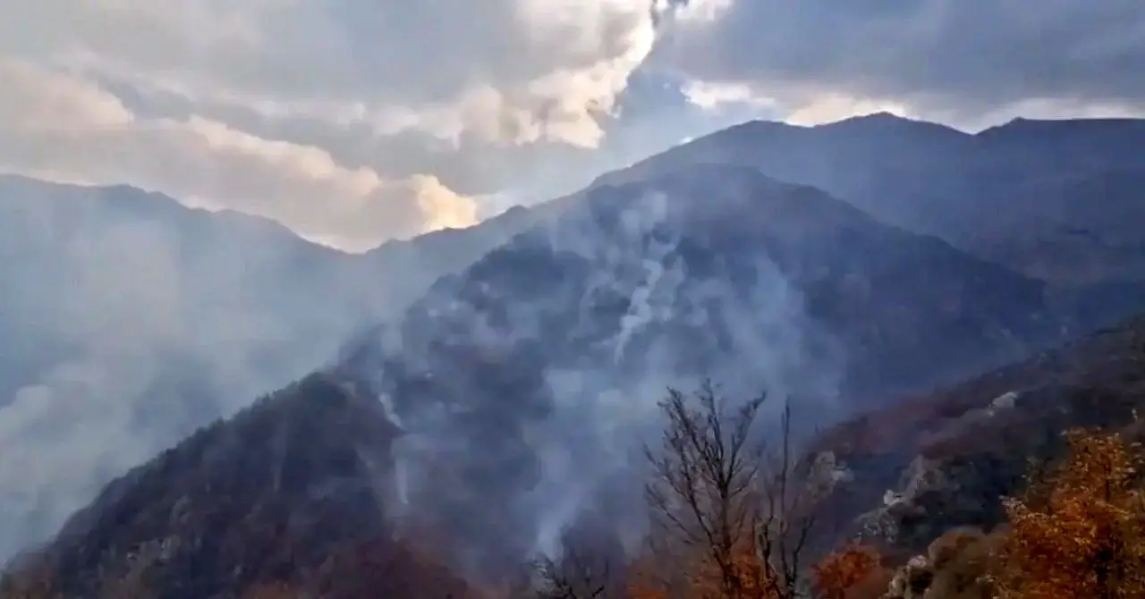 وضعیت قرمز در جنگل‌های الیت؛ آتش‌سوزی همچنان پیشروی می‌کند