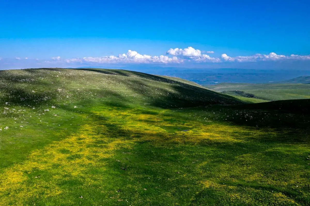 تصاویر؛ طبیعت بهاری دامنه کوه سبلان