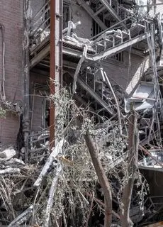 تصاویر؛ نگاهی به زخم‌های انستیتو پاستور 