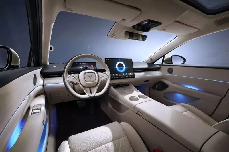 وویا پشن L‌