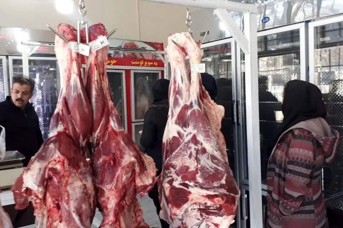 بازار گوشت در پایان تیر؛ جهش ۴۲ تا ۱۳۵ درصدی قیمت گوشت 
