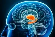یک قند کوچک در مغز، کلید مبارزه با افسردگی