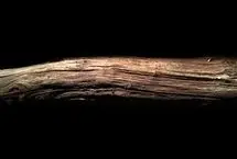 تکه چوبی که 430 هزار سال قبل به دست انسان تراشیده شد