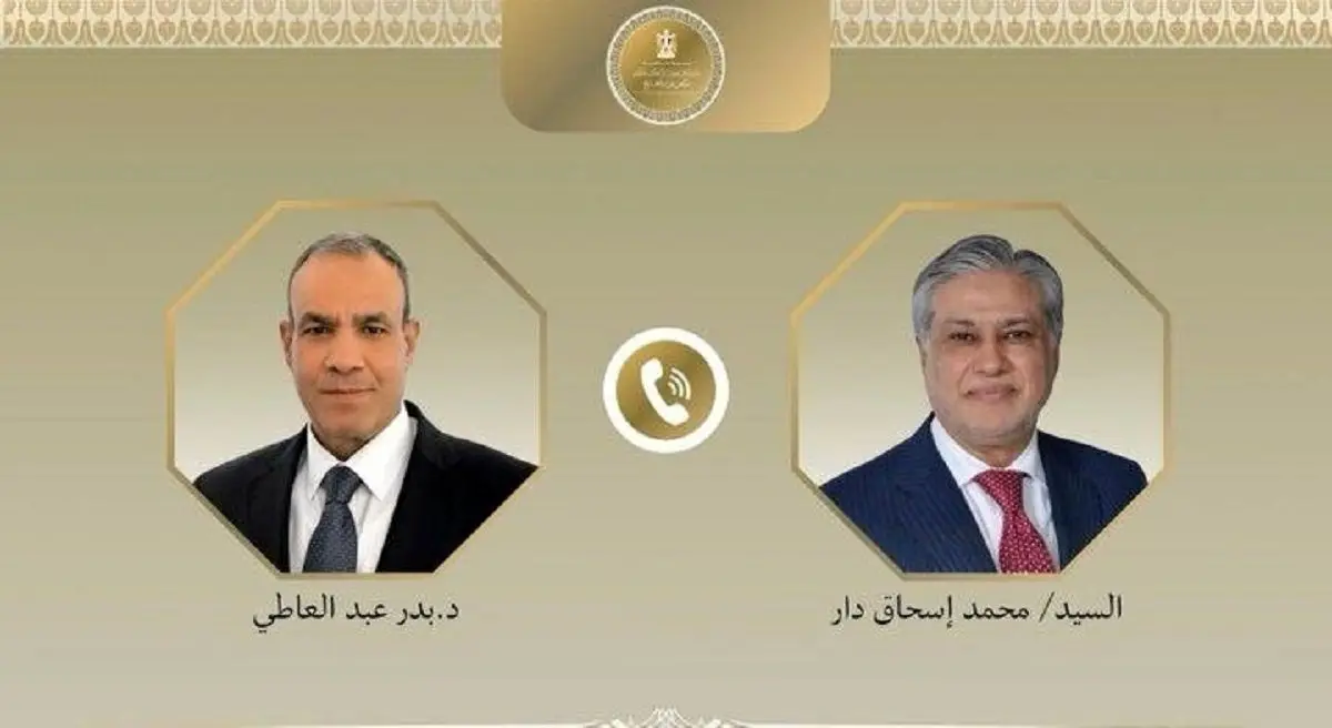 تثبیت آتش‌بس، محور رایزنی وزیران خارجه مصر و پاکستان