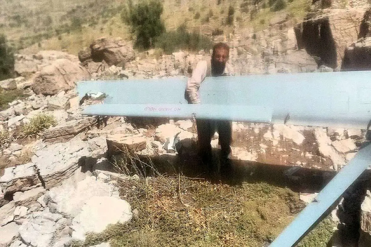شکار هرمس اسرائیلی توسط مرد روستایی
