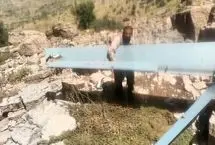 شکار هرمس اسرائیلی توسط مرد روستایی
