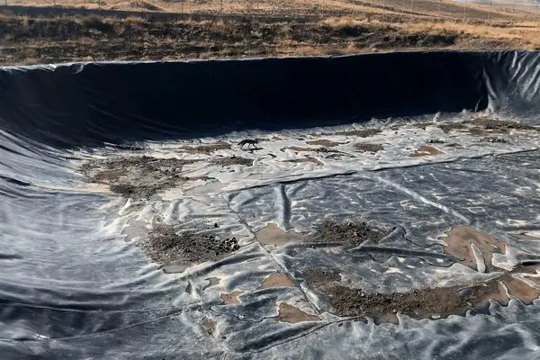 نجات روباه گرفتار در استخر ذخیره آب در خلخال