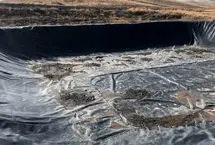 نجات روباه گرفتار در استخر ذخیره آب در خلخال