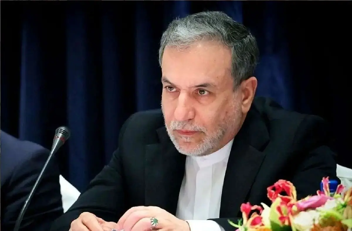 دیدار  استاندار نجف اشرف با عراقچی
