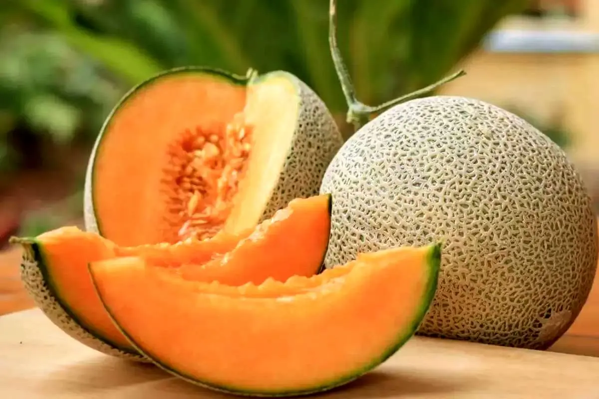 آیا «ملون» تراریخته و مضر برای سلامتی است؟