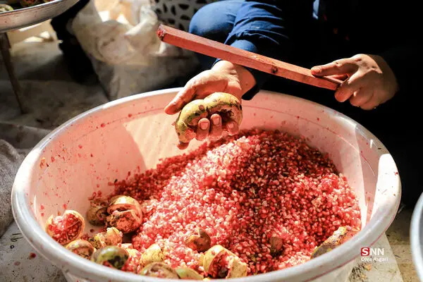رسم خوش «اِنار دِله کانی»  
