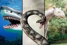 غول پیکران بی بدیل؛ بزرگترین حیوانات تاریخ زمین