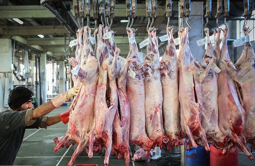 قیمت نهایی گوشت برزیلی و مغولی در بازار