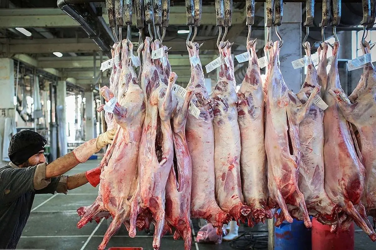 قیمت نهایی گوشت برزیلی و مغولی در بازار