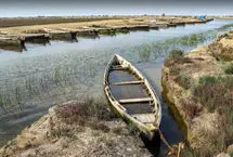 خلیج گرگان در خطر خشک‌ شدن