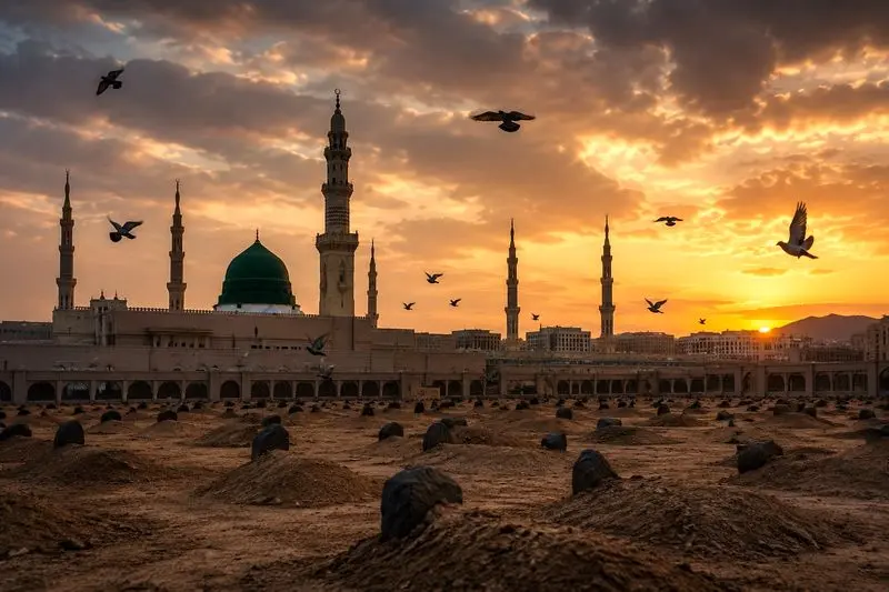 مدینه