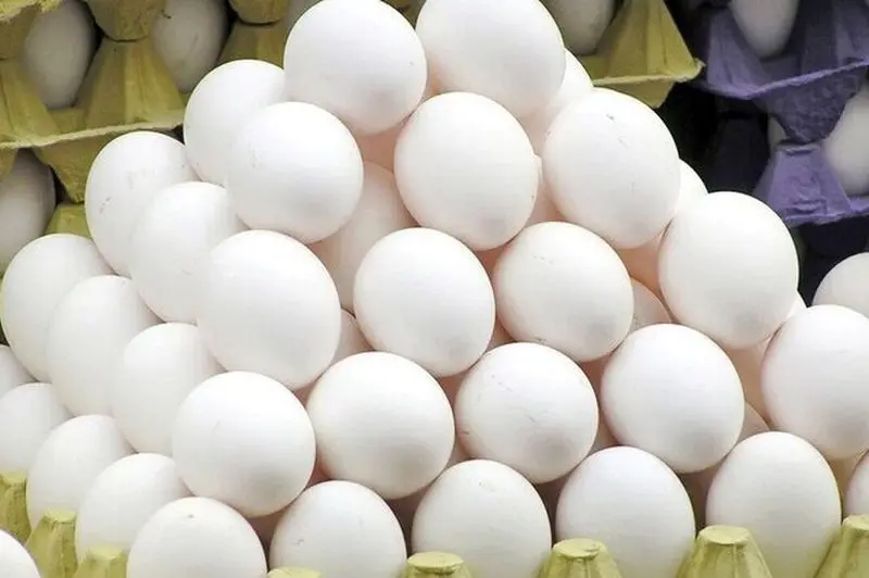 تخم مرغ 3