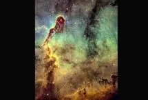 عکسی از خرطوم فیل در آسمان!