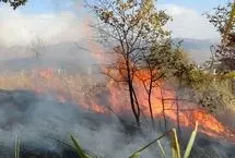 جزییات جدید از آتش‌سوزی جنگل گلستان؛ علت: سهل‌انگاری مسافران؟
