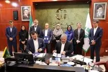 همراهی دیجی‌کالا، دولت ژاپن و سازمان‌ملل برای حفظ تالاب‌های ایران