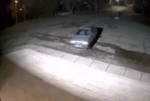 حمله گرگ به یک دانشجو در دانشگاه زنجان؟