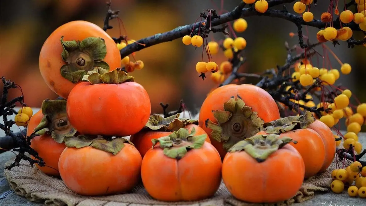 آیا خرمالو واقعا باعث انسداد روده می‌شود؟/ خرمالو را چطور بخوریم؟