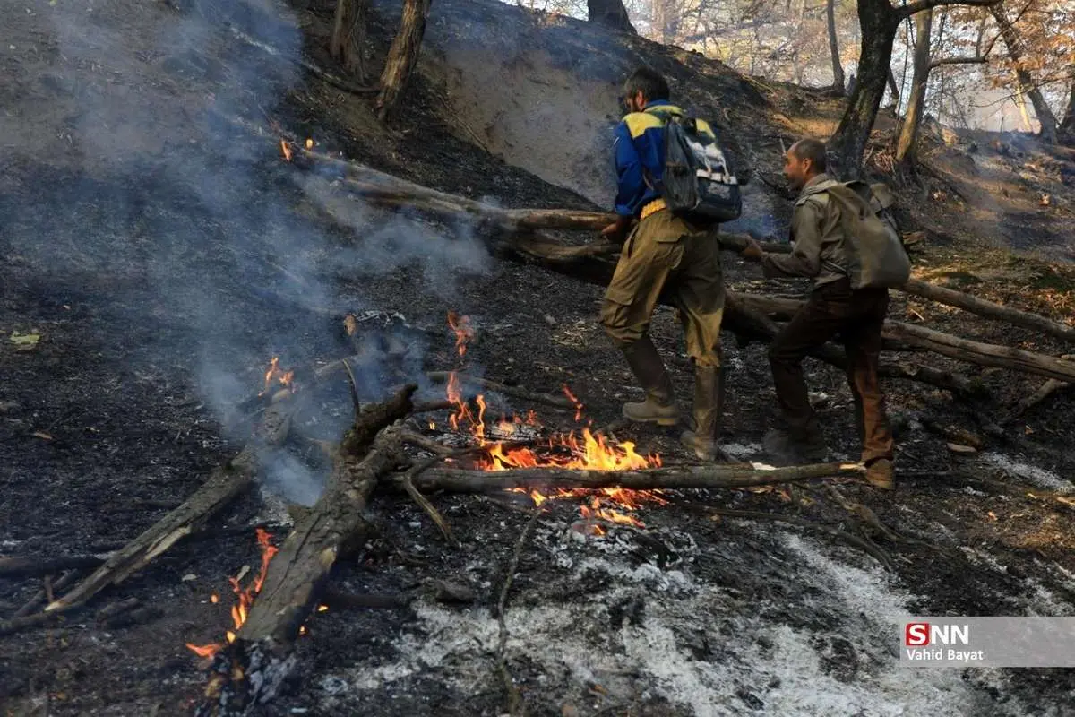 تصاویر؛ آتش‌سوزی در جنگل‌های گلستان
