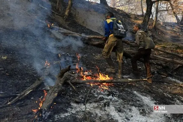 تصاویر؛ آتش‌سوزی در جنگل‌های گلستان