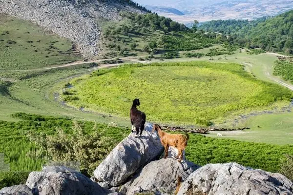 دشت مرکوه؛ جلوه‌ای از طبیعت زیبای گلستان