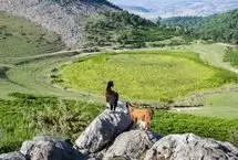 دشت مرکوه؛ جلوه‌ای از طبیعت زیبای گلستان