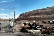 عکس‌های آسوشیتدپرس از کنار جاده تهران تا مرز ترکیه
