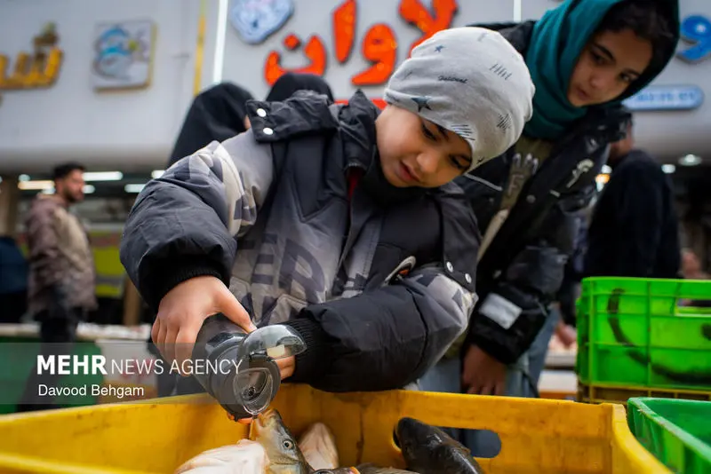 نوروز ۱۴۰۵ ۱۱